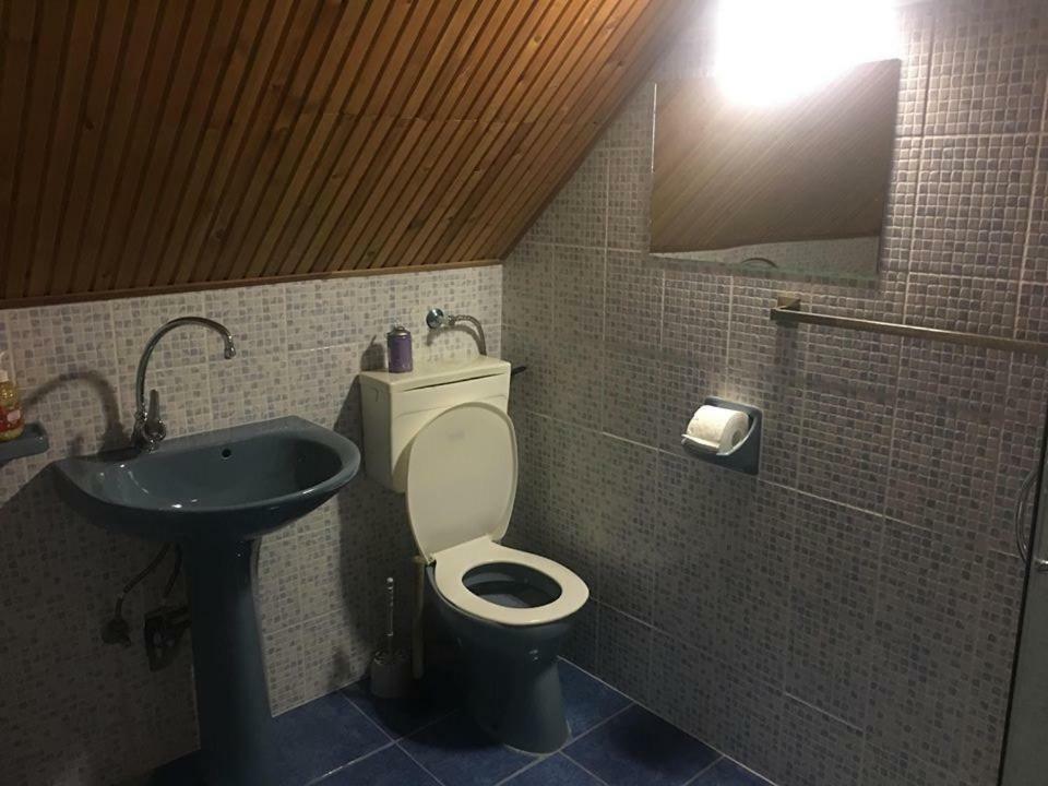 Bago Pince Apartment Hajos Екстериор снимка
